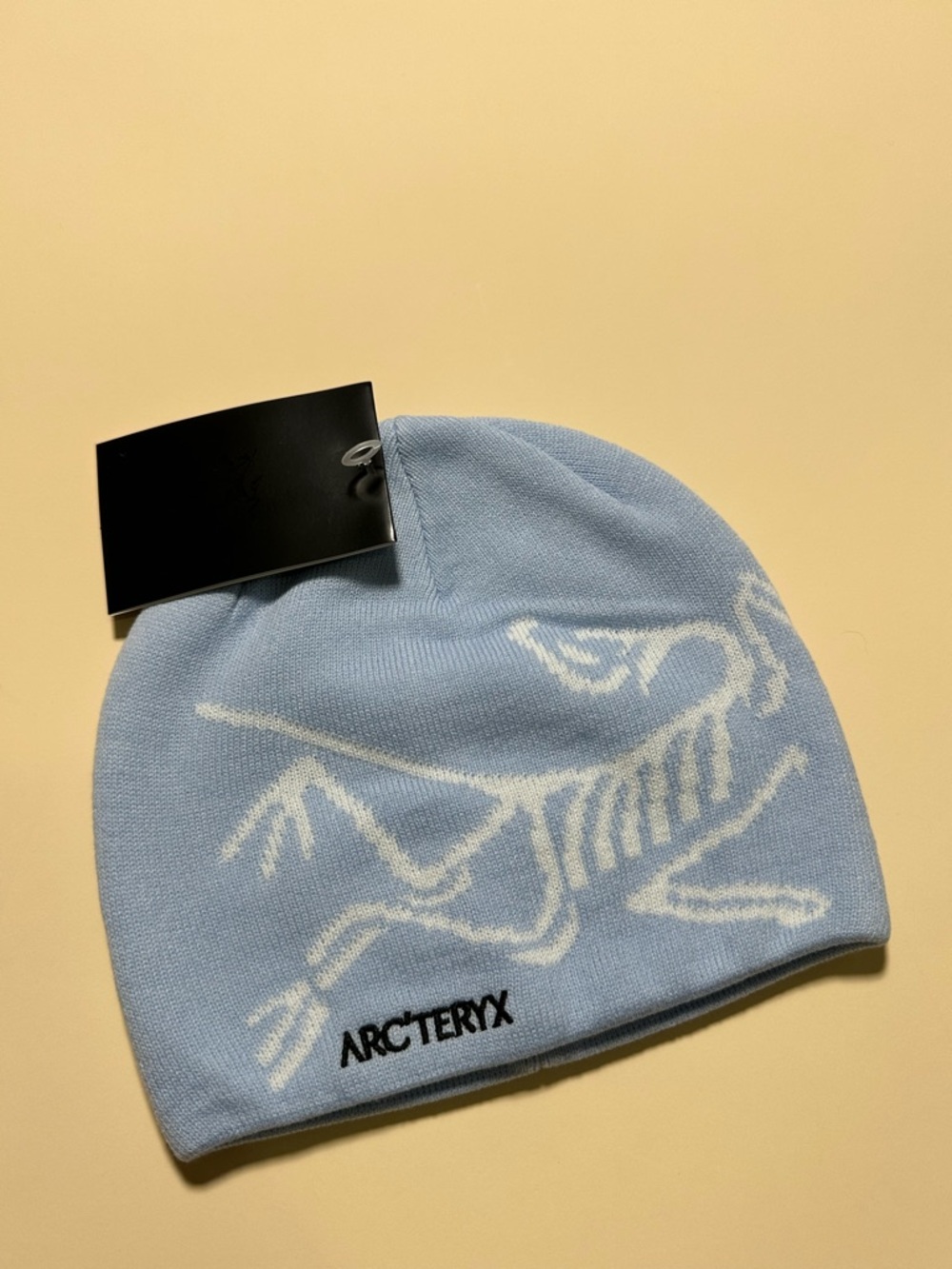 Arc'teryx Bird Torque Light Blue Logo Beanie